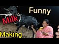 Viral Milk Making Vlog