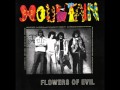 Mountain - Crossroader.wmv