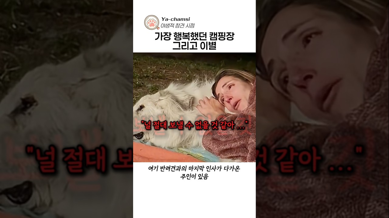 가장 행복했던 캠핑과 이별의 의미