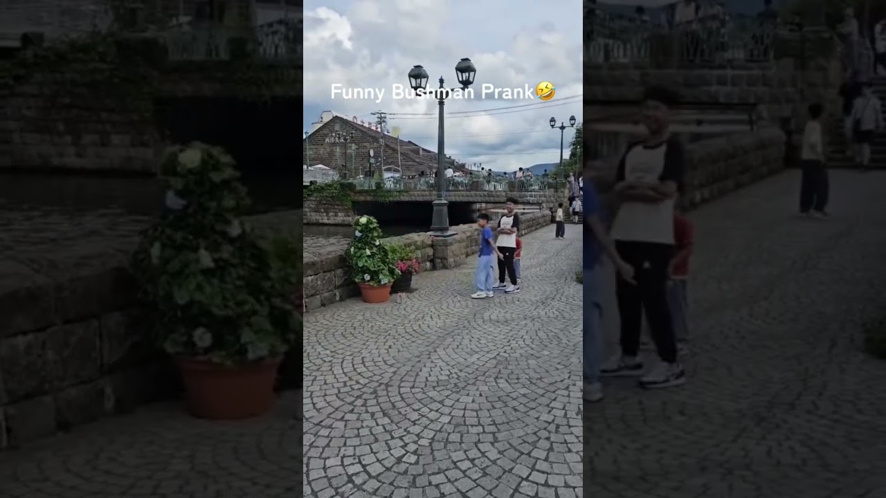 Bushman 3 brothers’ funny reaction🤣