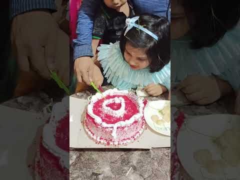 Ritwika, s Birthday Celebration.