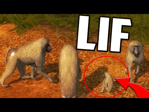 LIF - MONKEY FAMILY, Breeding & Fighting (LIF Funny Moments Gameplay)