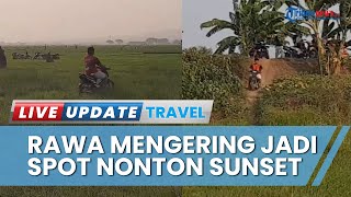 Nikmati Sunset di Bekas Rawa-rawa yang Mengering di Margorejo Pati, Jadi Tempat Piknik Dadakan