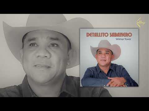 Detallito Sabanero ‐ Wilmer Tovar (Vídeo Audio)