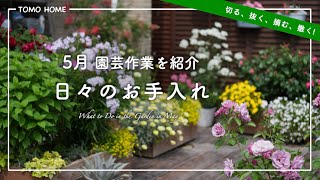 [Gardening motivation up!] Cut, pull, pick and sow! Introducing flowers and caring for them [Work...