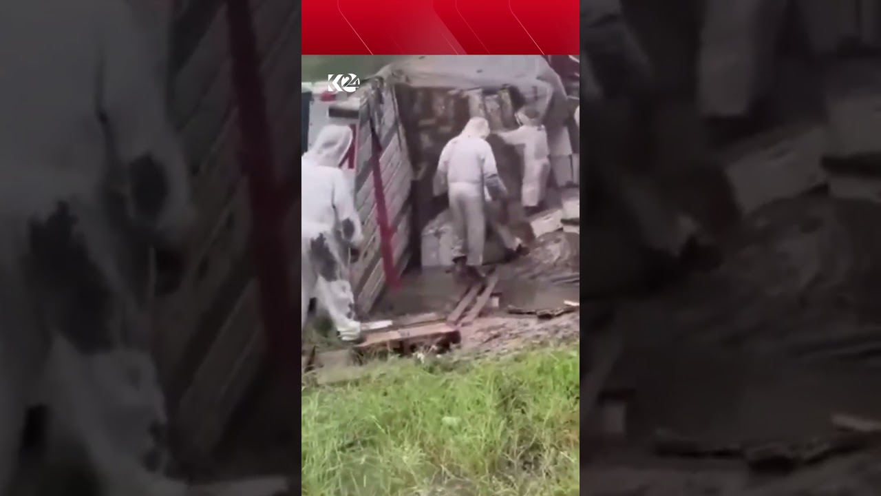 ڤیدیۆ | هێرشی زۆمبییەکان نییە، بەڵکو هێرشی زیاتر لە 25 ملیۆن هەنگە بۆ ناوچەی مۆریسڤیل لە ویلایەتی تێکساس