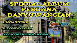 Download lagu DJ BANYUWANGIAN COCOK BUAT HAJATAN HOREG By Mletre Project mp3