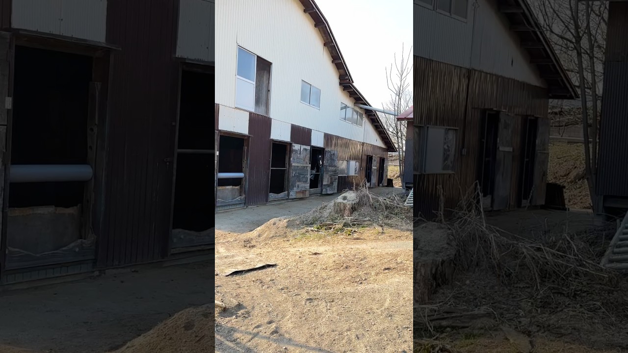 おはよう。 #サチモ #引退競技馬 #26歳