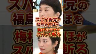 良いみずほと悪いみずほ#政治 #参政党 #社民党