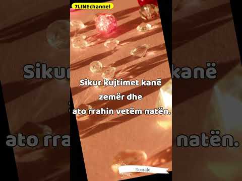 Edukata është e shtrenjtë - Sociale