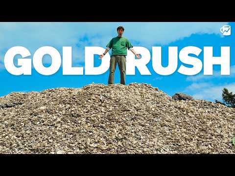 An oyster revolution is happening in NYC