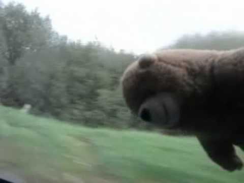 2010.10.16. MEDVEEE!