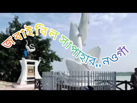 জবাই বিল রাত্রিবেলা  সাপাহার নওগাঁ  অনেক সুন্দর একটা জায়গা #sadboyrakib4414 #viralshorts #reels