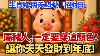 生肖豬注意！明天10月19號，農曆八月二十八是「招財日」，你穿這顏色衣服最招財！讓你天天發財到年底！#生肖豬 #財運 #開運 #五行 #金生水 #開運顏色 #穿搭 #生肖運程 #運勢 #算命 #風水