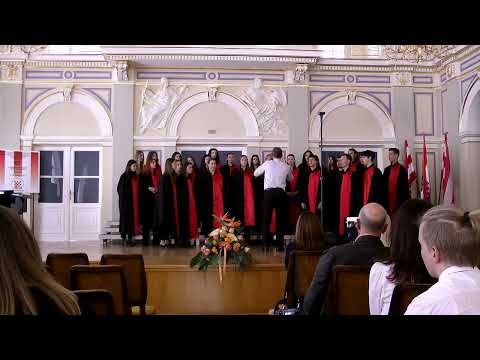 "M. Marulić" High School Mixed Choir - Zdrava Devica (M. Lešćan)
