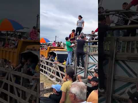 La Maná. Toros para el pueblo.