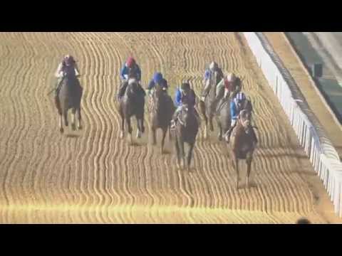 04.12.2014 Meydan (Dubai-UAE) 4.Race Longines Master Collection - Handicap 1.200 m