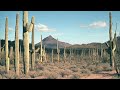 Calexico - Sanchez