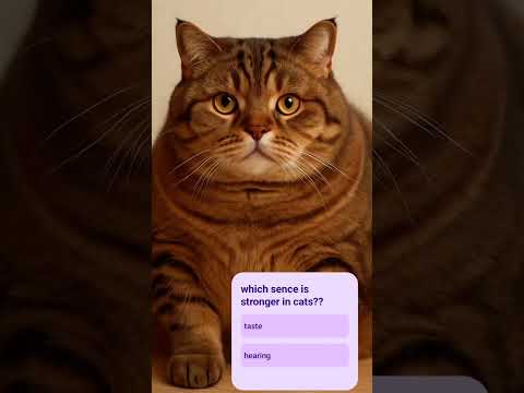 #ai #aivideo #aicats#quiz#shortfeed#trendingshorts