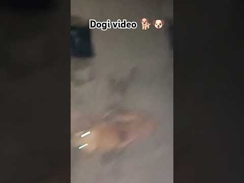 Like or subscribe #kavisha video #shortvideos #viralvideos #funny #anaya #cartoon #dogi video #भूत