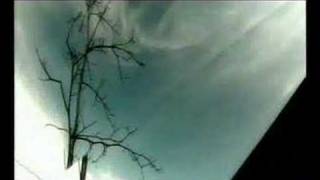 Sanctuary Music Video