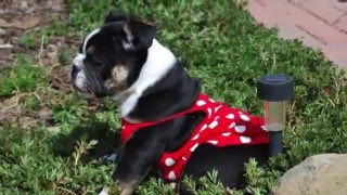 Put on your red dress baby