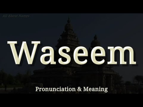 Waseem - Pronunciation and Meaning