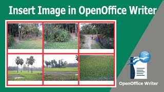How to Insert Image in OpenOffice Writer Document