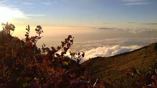 Download lagu STORY WA | Puncak Gunung Lawu | 3.265 MDPL mp3