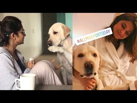 Jennifer Winget CUTE Moments Playing with DOGS | Bepannah