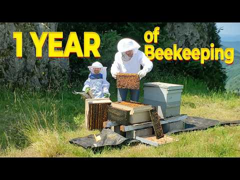 My First Year of Beekeeping Business – Was It Profitable? 🐝💰
