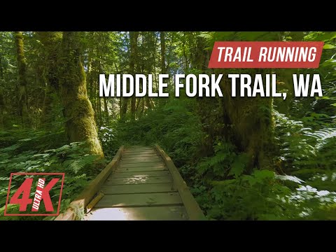 Trail Running along Middle Fork Trail - 4K Virtual Forest Run for Treadmill Workout (Nature Sounds)