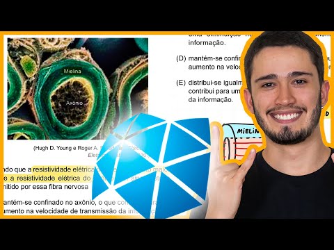 UNESP 2024 - The image, produced by an electron microscope, shows a cross section of a