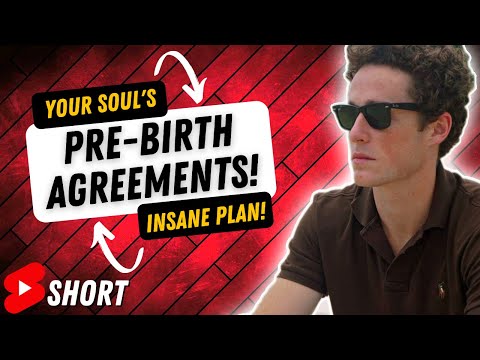 Your Soul's Insane Plan! Pre-Birth Agreements! - The Autistic Mystic