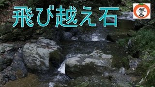 preview picture of video '【 うろうろ和歌山 】 飛び越え石 和歌山県 橋本市 JR 和歌山線 隅田駅 真土 の 町並み の近く'