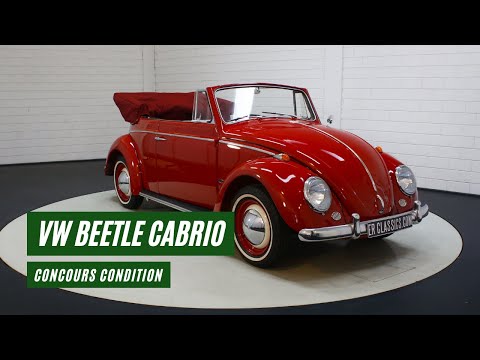 1964 Volkswagen Beetle (CC-1542035) for sale in Waalwijk, Noord Brabant