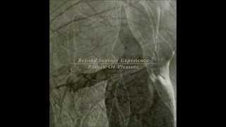 Beyond Sensory Experience - The Trade