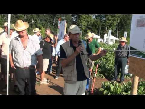 Lotta al nematode Heterodera schachtii