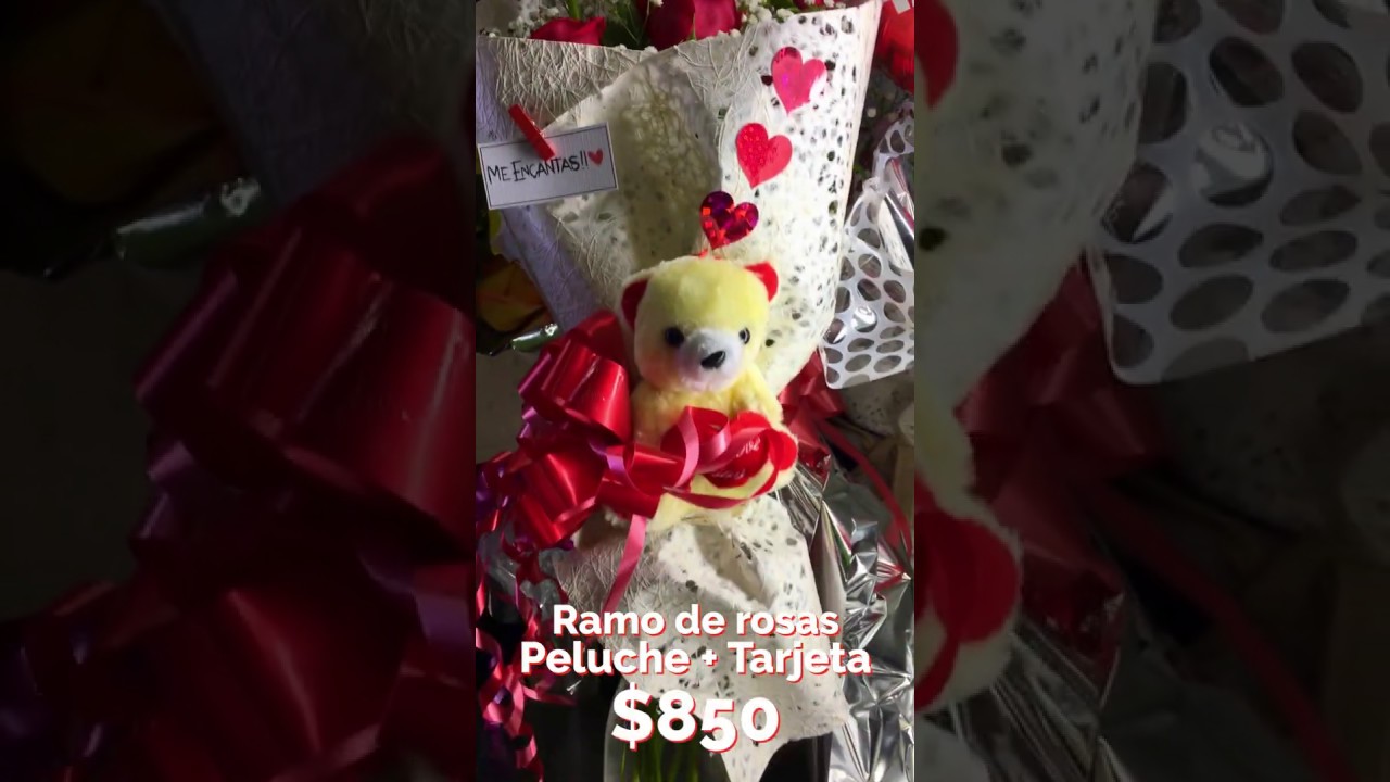 Floryplan - Ramo de rosas + Peluche + Tarjeta - GNTV