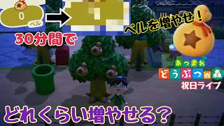 【生配信】あつまれどうぶつの森 30分でベルどれくらい集められる？