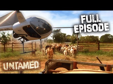 Living Off The Grid On Australia's Most Remote Cattle Station!