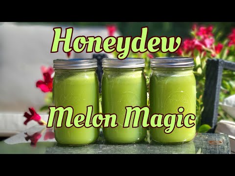 How to Juice Honeydew Melon (and Why You Should)