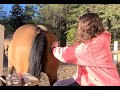 Sven Backing In For A Butt Scratch