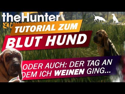 Tutorial zum Blut Hund! the Hunter Call of the Wild Deutsch Bloodhound Erklärung