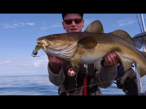 DVD trailer: Best of Norway