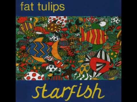 Never... - Fat Tulips
