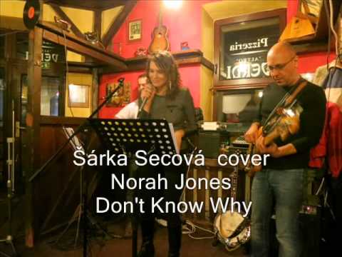 Sarka Secova cover  (Norah Jones) - Don't Know Why