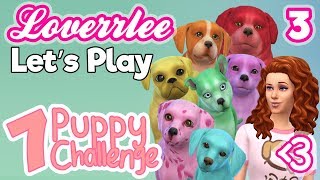 7 Puppy Challenge #7: Puppy Pics