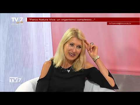 Tv7 con Voi sera del 3/11/2020  (4 di 6)