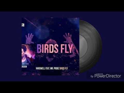 Hardwell (feat Mr. Probz) - bird fly (M&M Remix) [Club Edit]
